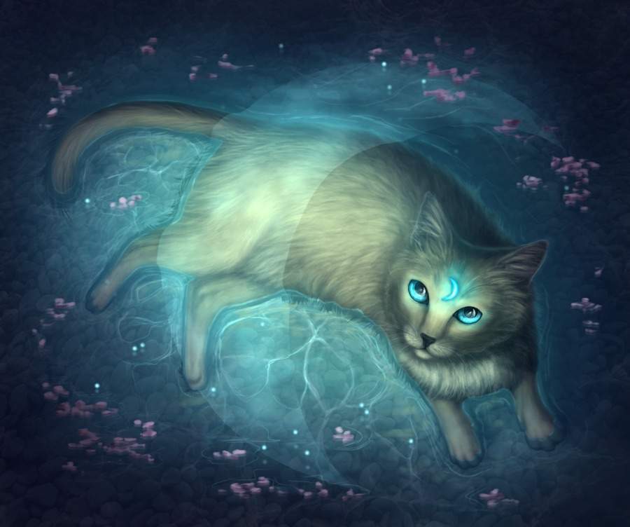 Cat Magic ! | Mythology & Cultures Amino