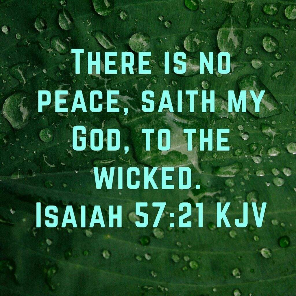 Isaiah 57:21 - The Daily Bible | Christian (Genesis) Amino