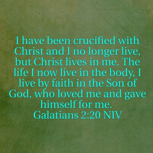 Galatians 2:20 - The Daily Bible | Christian (Genesis) Amino