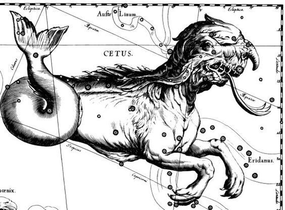 Cetus (🐋) | Wiki | Zodiac Amino