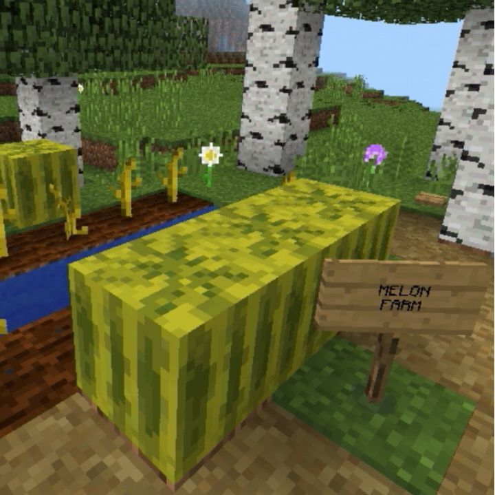 •Farming• | Wiki | Minecraft Amino