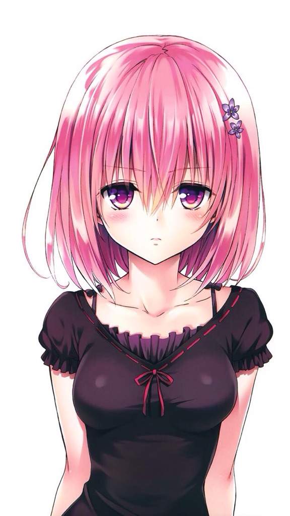 No Waifu No Laifu 9 El regreso •Anime• Amino