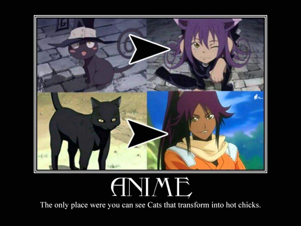 So True Lol Anime Amino