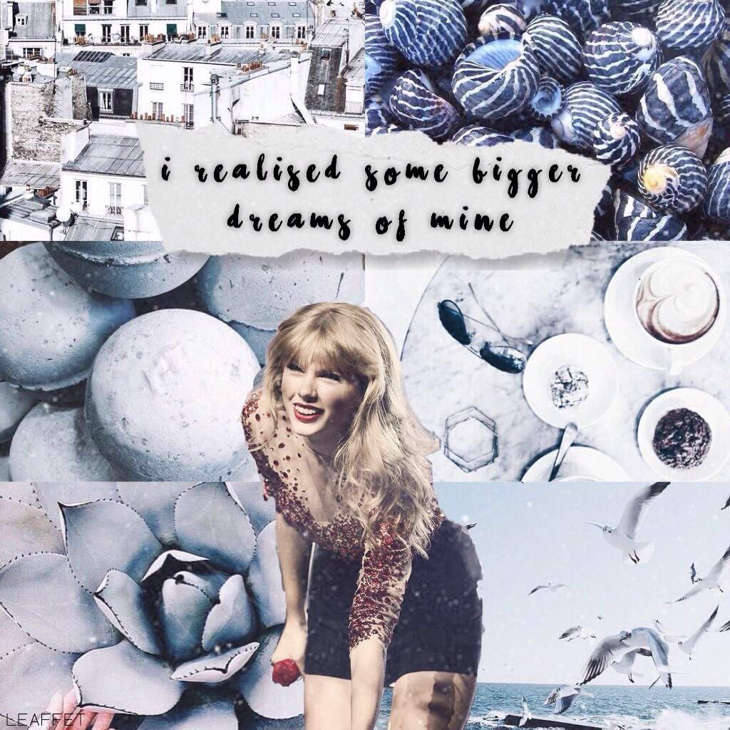  COLLAGE EDITS  Swifties Amino