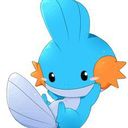 Mudkip Dance!! 