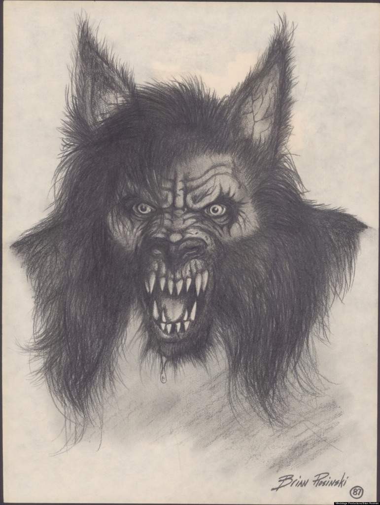 Michigan Dogman | Wiki | Paranormal Amino
