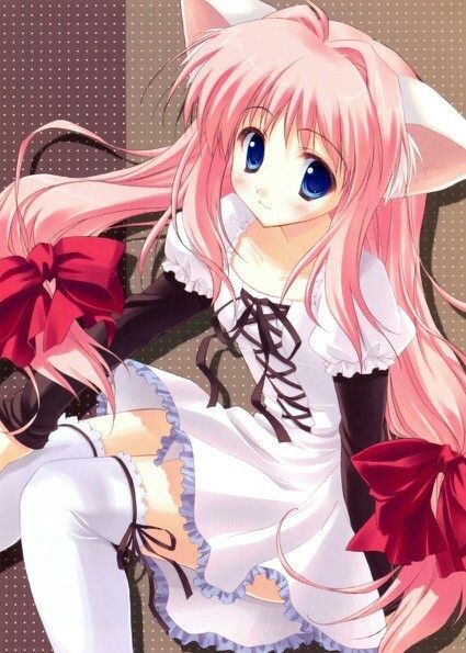 Cute Neko Girls | Anime Amino