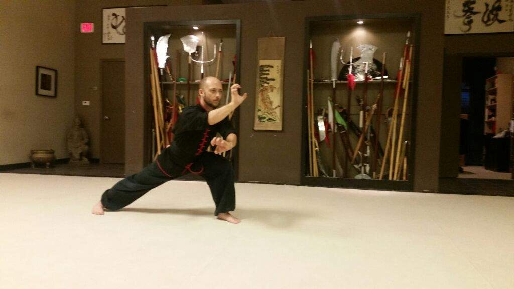 Shaolin 5 Animals Kung Fu | Martial Arts Amino Amino