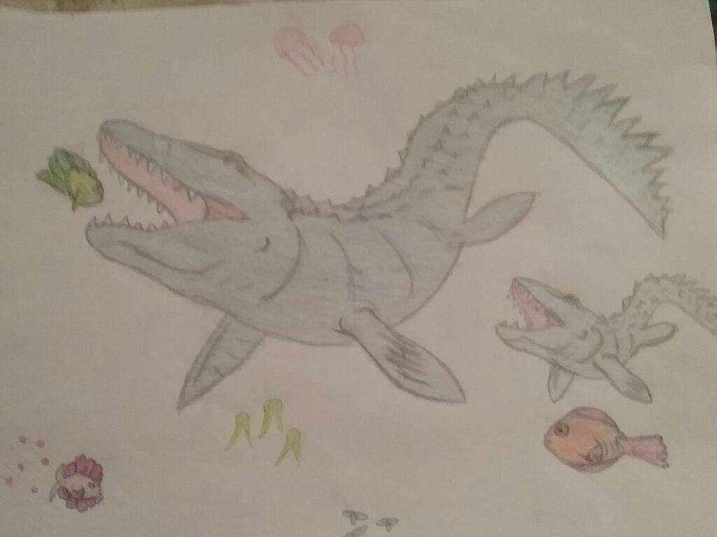 Featured image of post Mosasaurus Drawing I will also be trying my