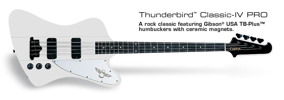epiphone thunderbird bass dimensions