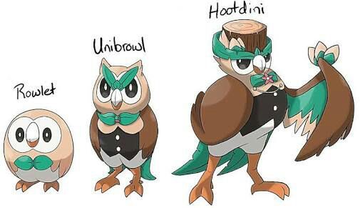 hawlucha pokemon evolution