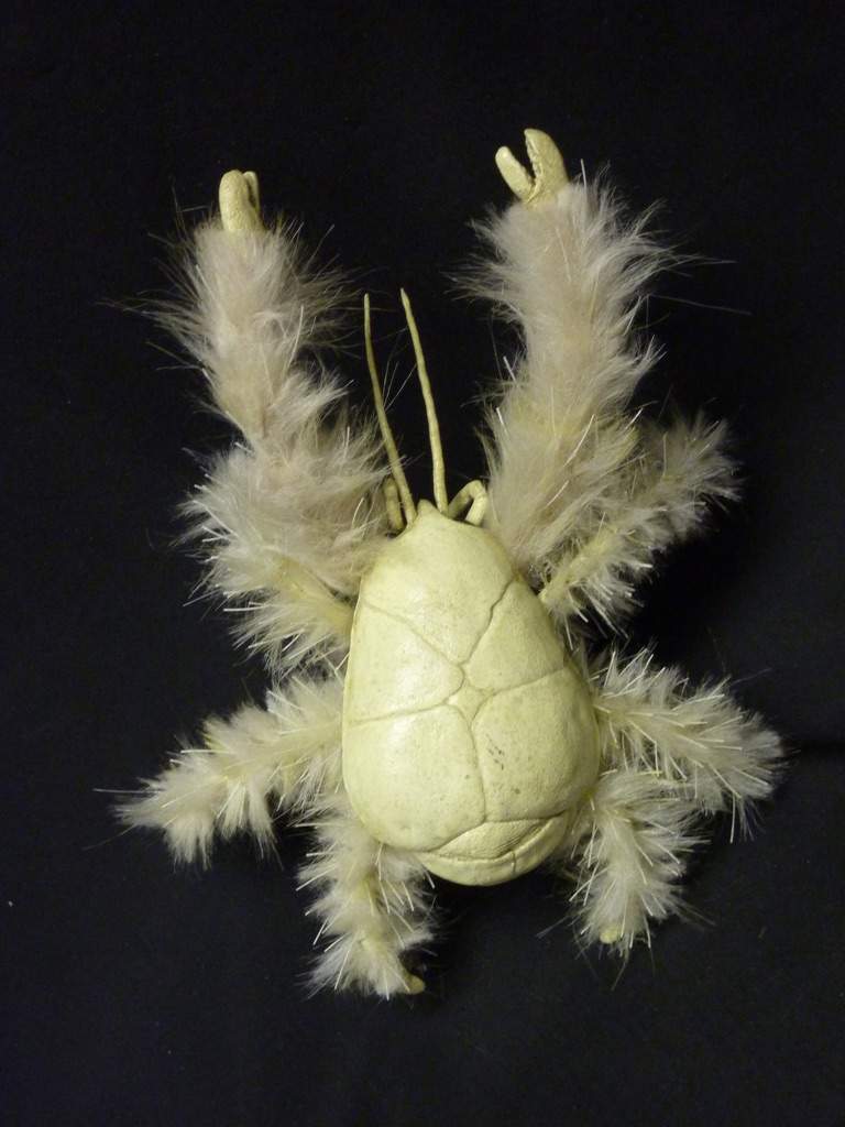 yeti-crab-wiki-animal-amino