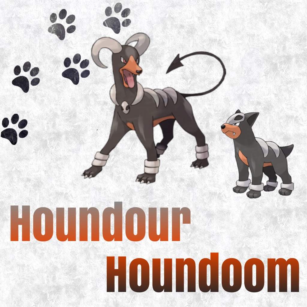 houndour evolution chart 38965 usbdata houndour evolution chart