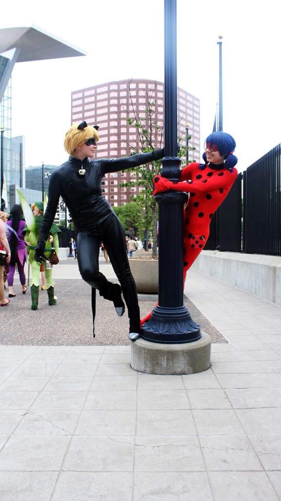 Miraculous Ladybug And Chat Noir Cosplay Amino