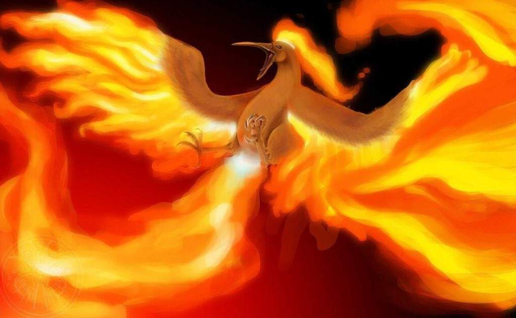 Top 10 Fire Type Pokemon | Pokémon Amino