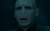 Voldemort has no good comebacks | Harry Potter Amino