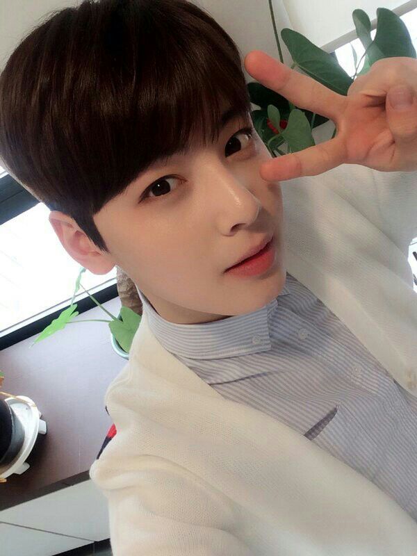 Lee Dongmin ( Cha Eunwoo ) | Wiki | K-Pop Amino