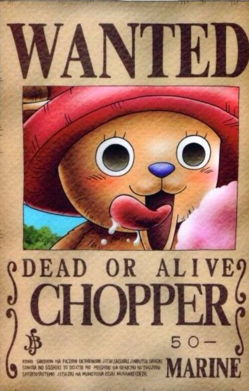Why Is Choppers Bounty So Low One Piece Amino