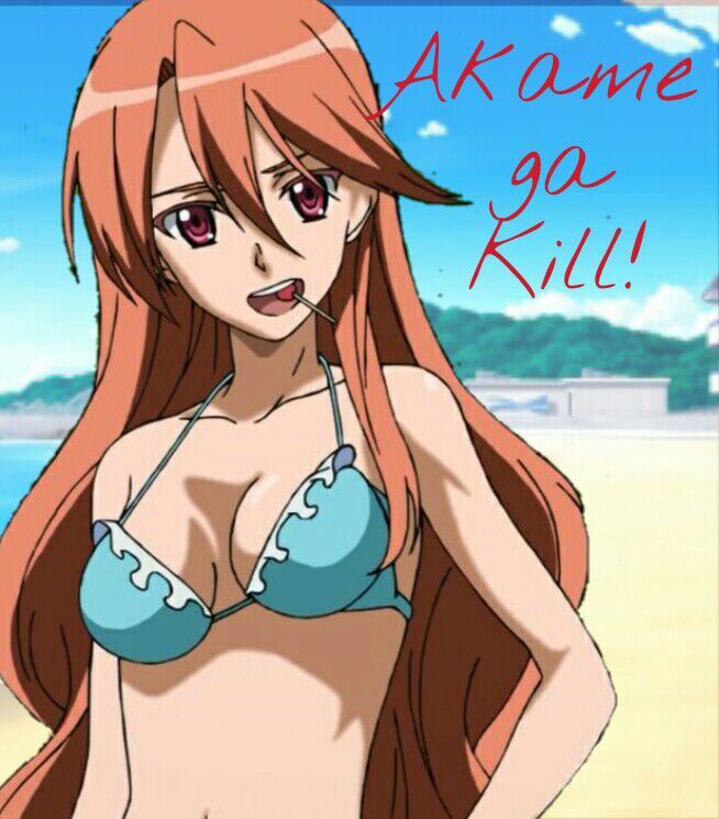 Akame Bikini Sun Fun Custom Sticker Decal Vinyl #3 Anime Akame ga Kill!