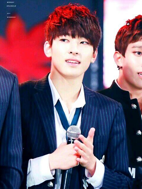 Happy birthday Wonwoo!!!!!! | K-Pop Amino