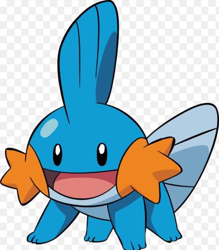 Mudkip | Wiki | Pokémon Amino