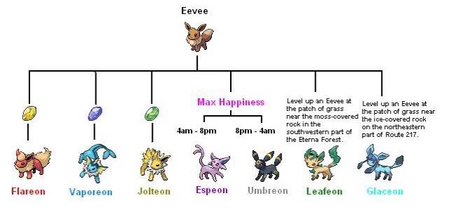 What is Evee? 