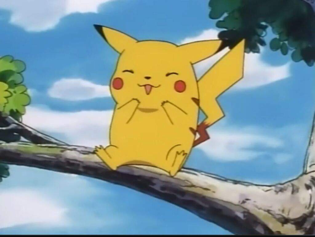 fat pikachu vmax