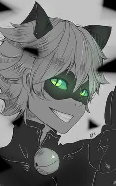 Chat Noir Vs Chat Blanc Cartoon Amino