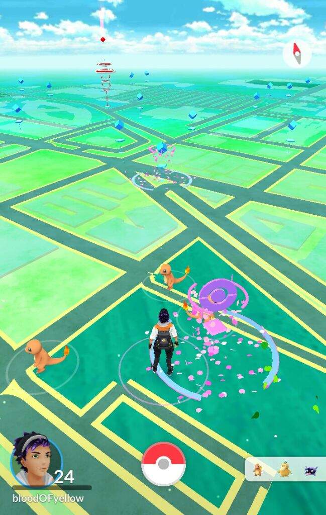 is this a charmander