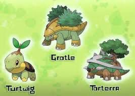 Torterra Wiki Pokemon En Espanol Amino