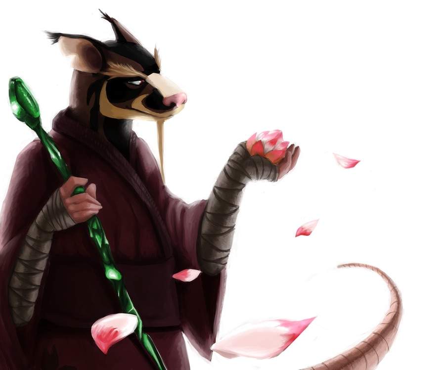 tmnt sensei splinter