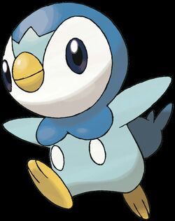 Piplup | Wiki | Pokémon Amino