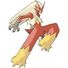 amino-Blake the Blaziken-f7aa540f