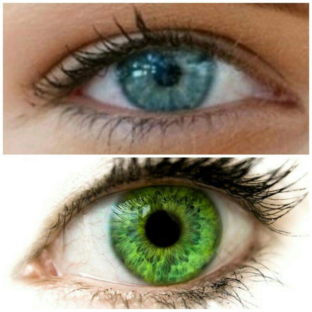 ~* The Captivating Emerald Eyes *~ 3/3 | Virtual Space Amino