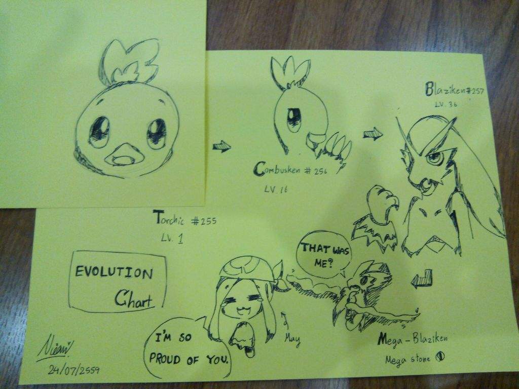 Torchic Pokemon Evolution Chart