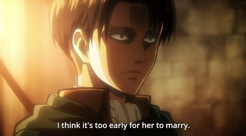 Is it possible that Levi and Petra really liked each other? | Anime Amino