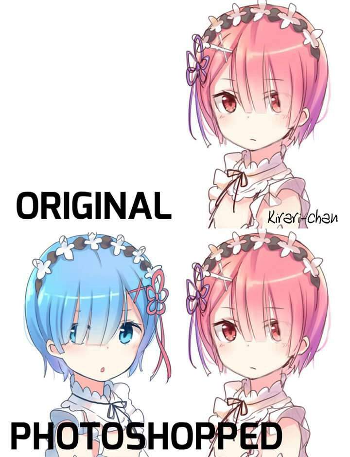 Rant on The "Who's Rem" Memes.