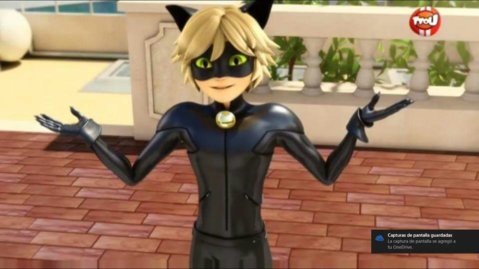 Chat Noir | Wiki | Cartoon Amino