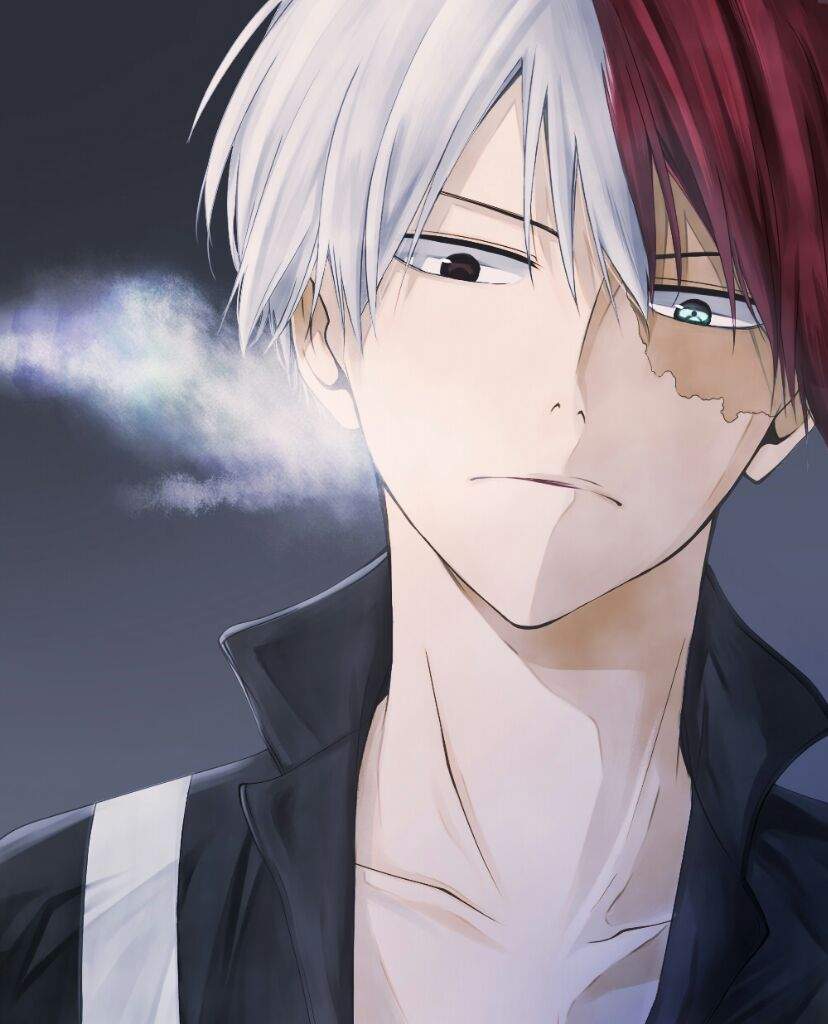 Shouto Todoroki | Anime Amino