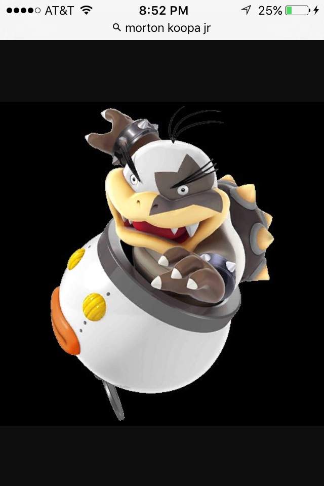 morton koopa