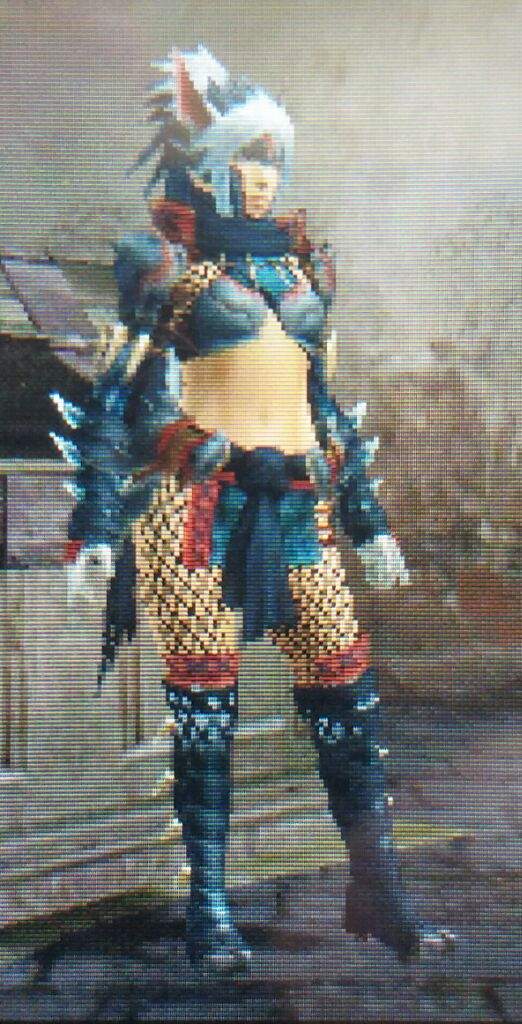 Finally SliverWind Nargacuga Armor Monster Hunter Amino   120f8427cb81d17a33a697f854c9481e4d05d584 Hq 