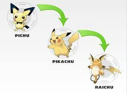 Evoluciones pikachu | •Pokémon• En Español Amino