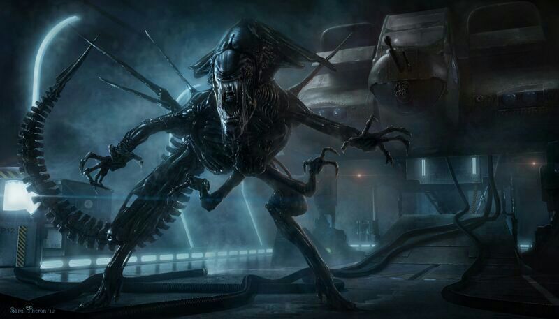 Xenomorph Queen | Alien Versus Predator Universe Amino