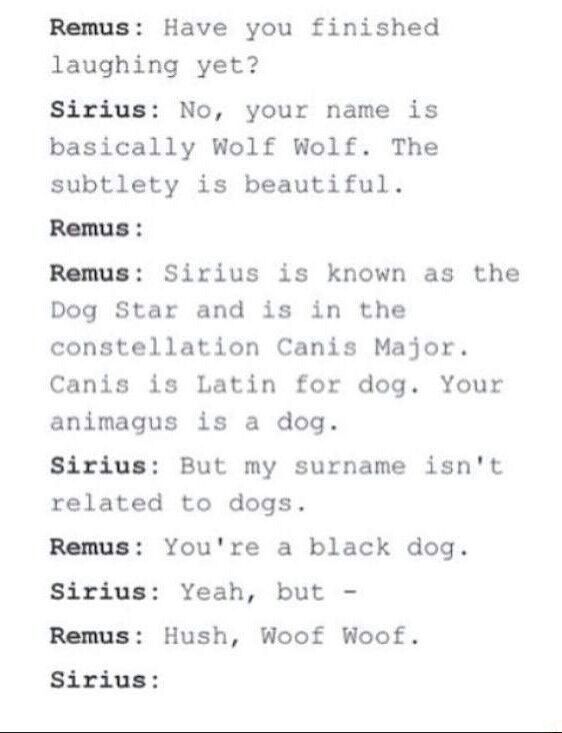 Sirius and Remus | Harry Potter Amino