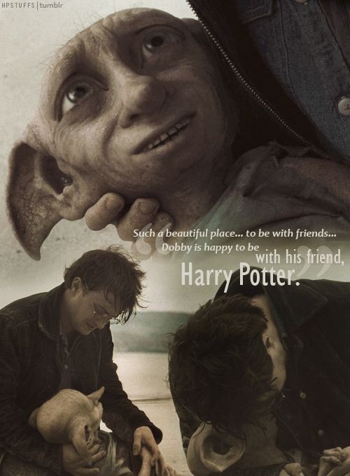 Dobby ️ | Harry Potter Amino