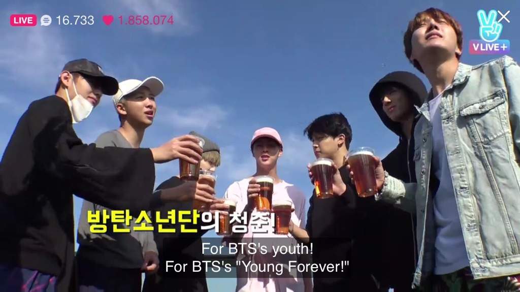 BTS DRINKING BEER TOGETHER – ON CAM | ARMY's Amino