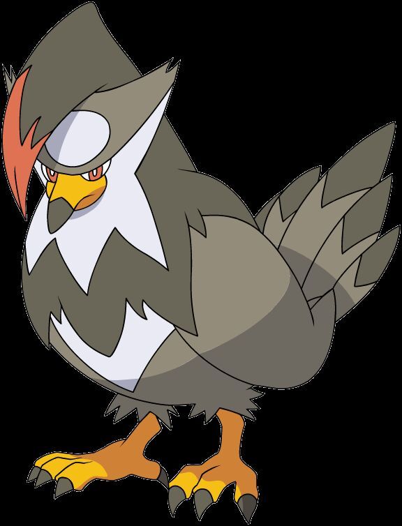 Staraptor Wiki Pokémon Amino