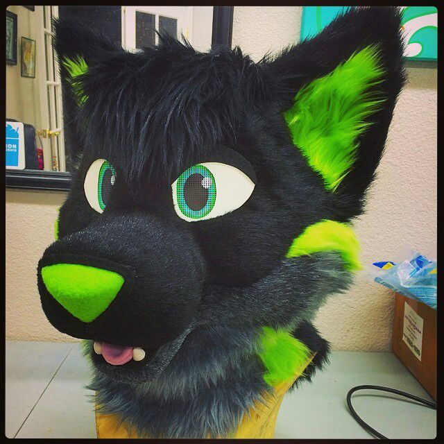 Don t hug cacti wiki furry amino