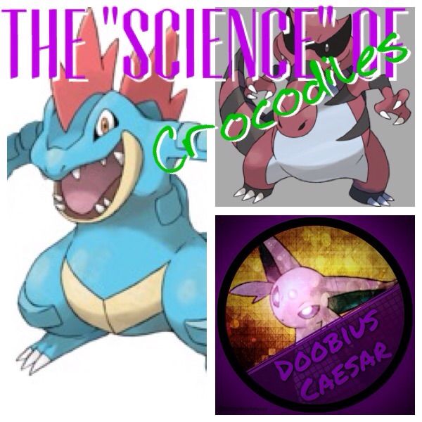 The Science Of Being Different Part 2 A Theory Ofn Crocodiles Pokemon Amino