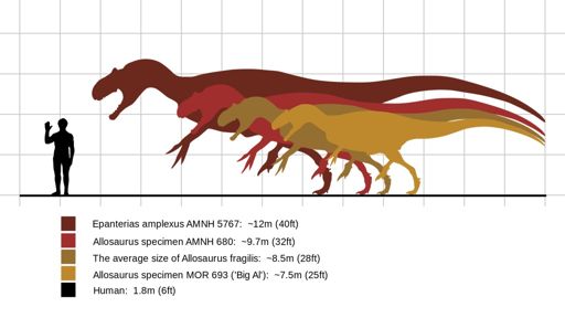 Allosaurus | Wiki | Prehistory Amino